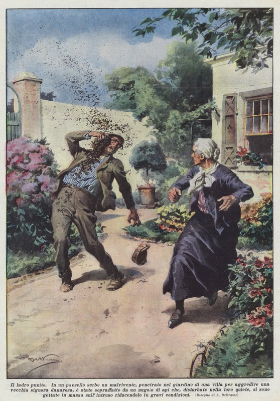 O ladrão punido de Achille Beltrame