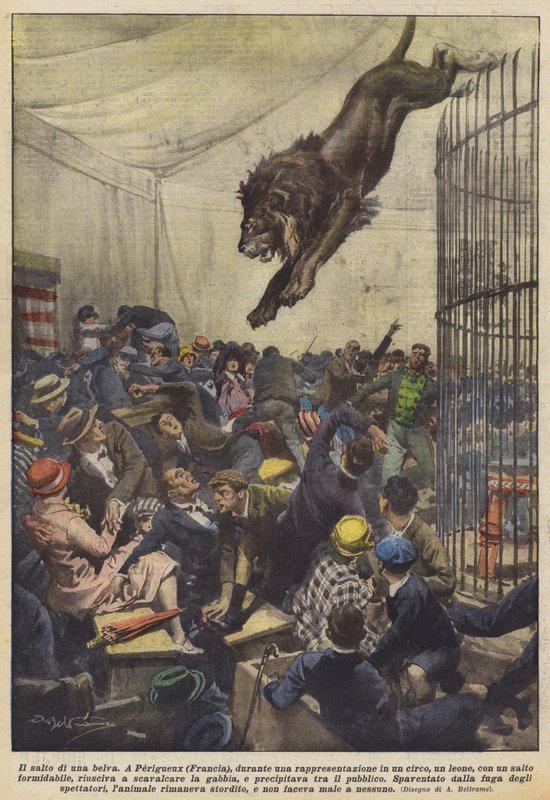 O salto de uma fera de Achille Beltrame