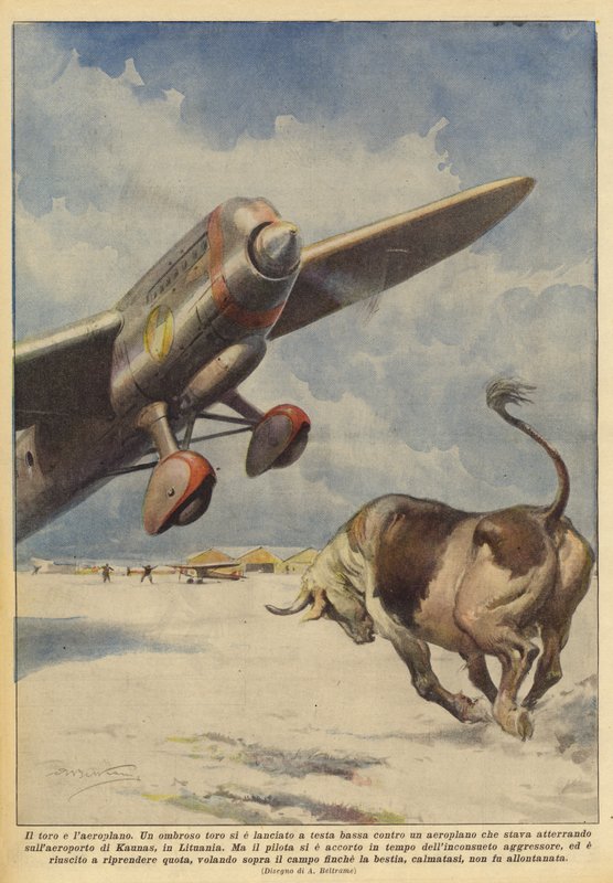 O touro e o avião de Achille Beltrame