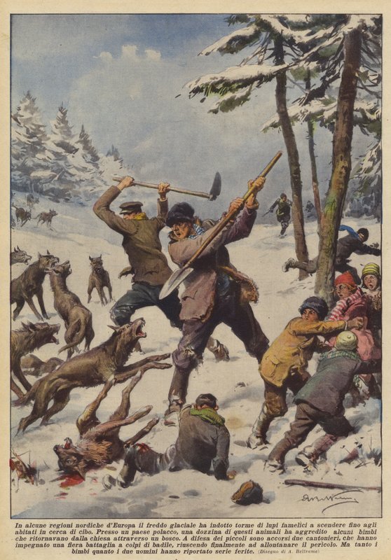 Em algumas regiões do norte da Europa, o frio glacial induziu lobos famintos de Achille Beltrame