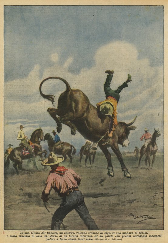 Em uma propriedade canadense, uma pata, querendo parar a fuga de um rebanho de gado de Achille Beltrame
