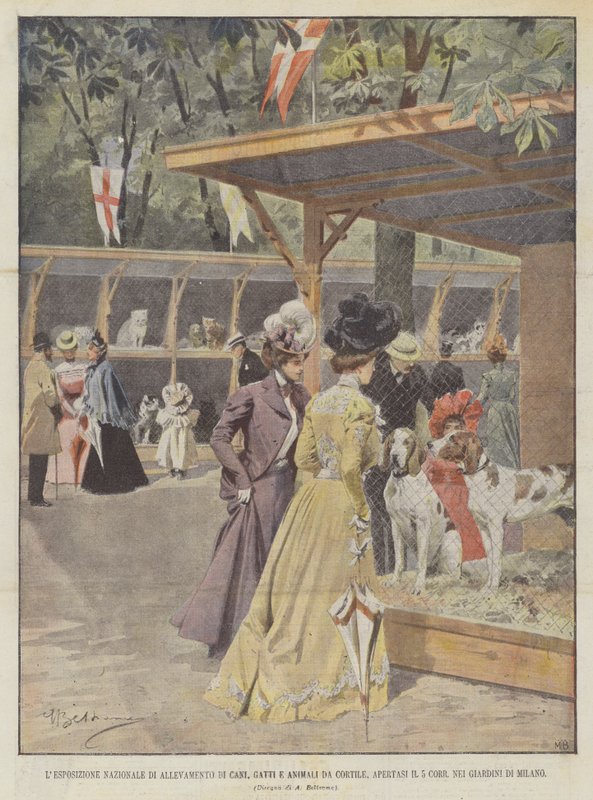 A Exposição Nacional de Reprodução de Cães, Gatos e Animais do Pátio, Surgem os 5 Corr In de Achille Beltrame