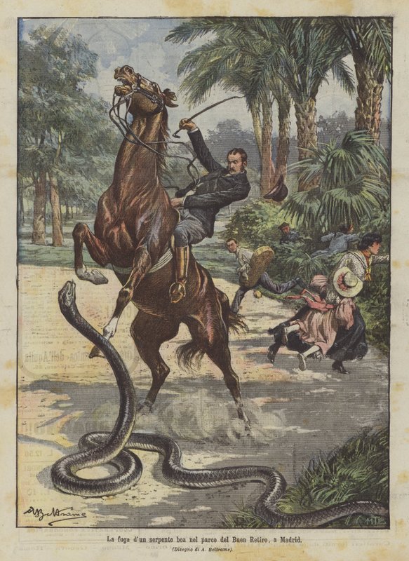 O voo dun serpente boa nel parco del Buen Retiro, para Madrid de Achille Beltrame