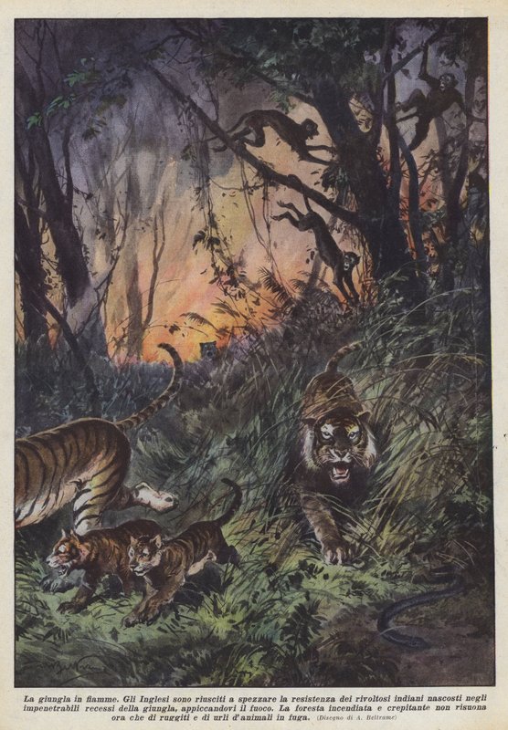 A selva ardente de Achille Beltrame