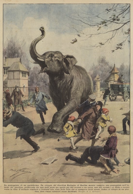 A caminhada de um paquiderme de Achille Beltrame