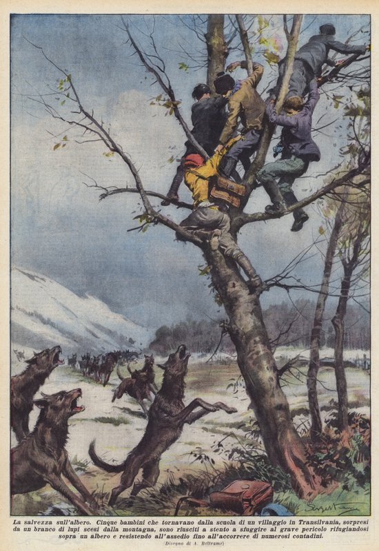 Salvação na árvore de Achille Beltrame