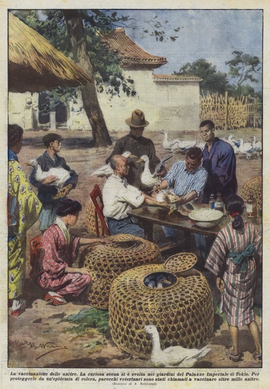 Vacinação de patos de Achille Beltrame