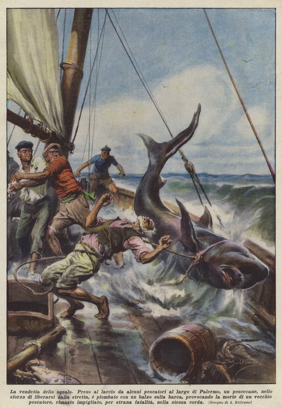 Vingança do tubarão de Achille Beltrame