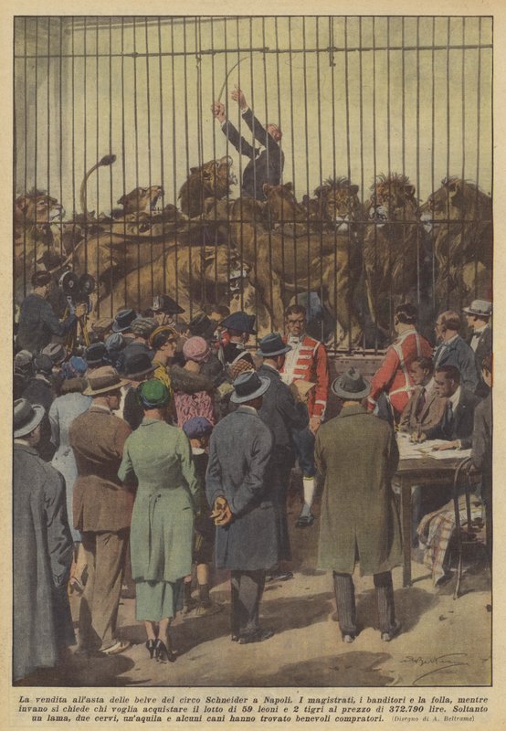 A venda das feras do circo Schneider em Nápoles de Achille Beltrame