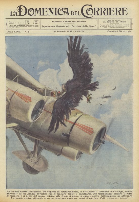 Abutre contra o avião de Achille Beltrame