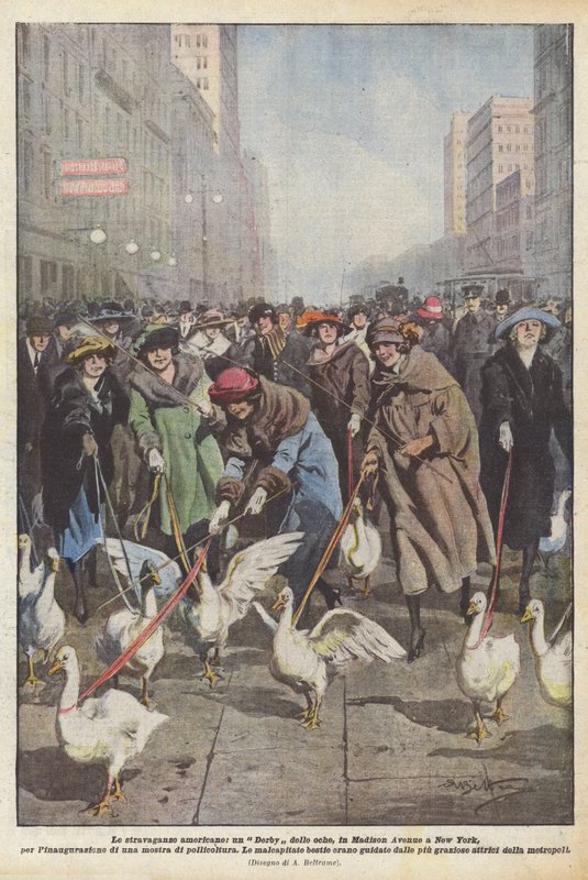 As extravagâncias americanas, os gansos Derby, na Madison Avenue, em Nova York, para a inauguração de Achille Beltrame