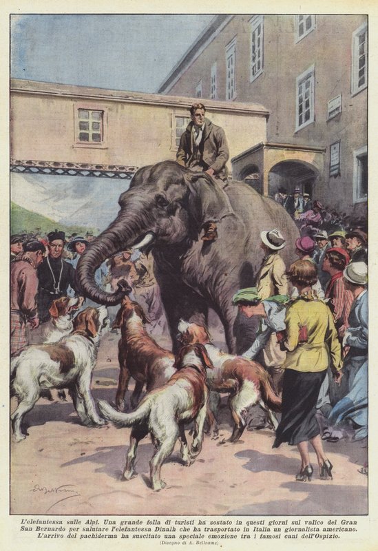 Elephantess nos Alpes de Achille Beltrame