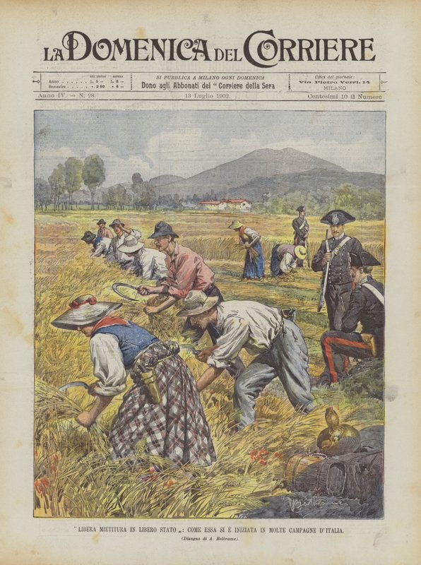 Libera Mietitura em Libero Stato, Venha Essa Si E Iniziata em Molta Campagne DItalia de Achille Beltrame