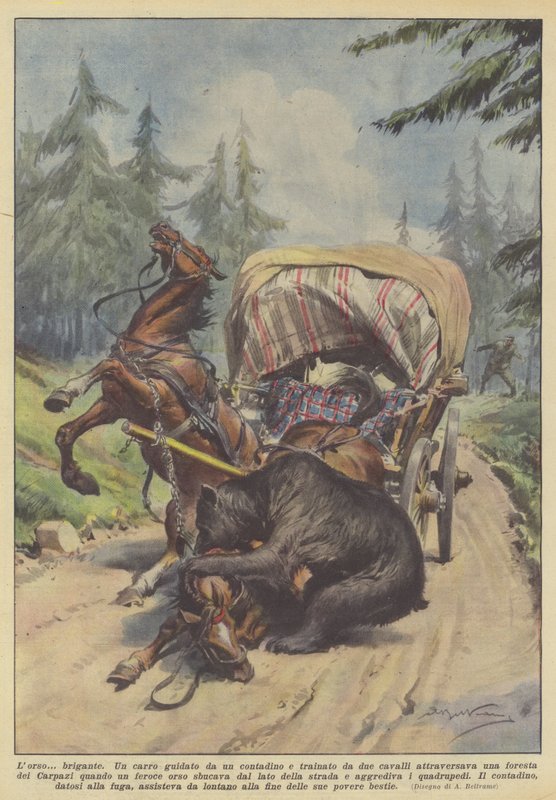 Lorso bandido de Achille Beltrame
