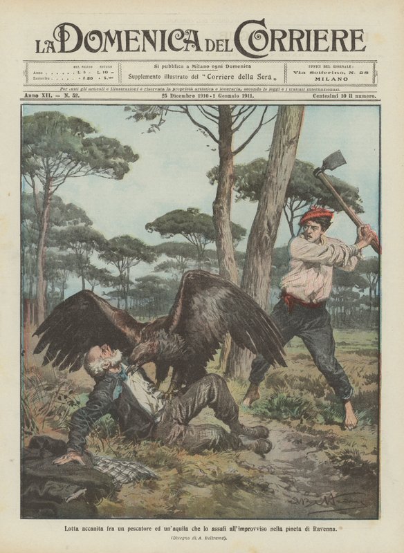 Uma luta feroz entre um pescador e uma águia que de repente o atacou no pinhal de Ravenna de Achille Beltrame