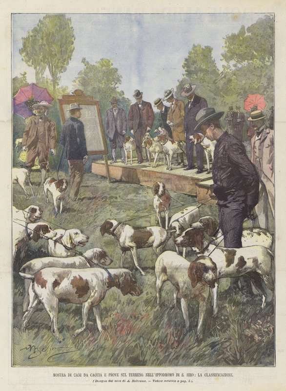 Exposição De Cães De Caça E Testes No Chão Em S Siro Racetrack, Classificação de Achille Beltrame