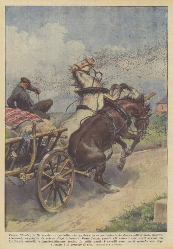 Em Stendal, na Alemanha, um fazendeiro dirigindo uma carruagem de dois cavalos era de Achille Beltrame