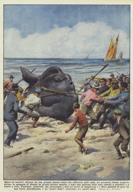 Quase um monstro! de Achille Beltrame