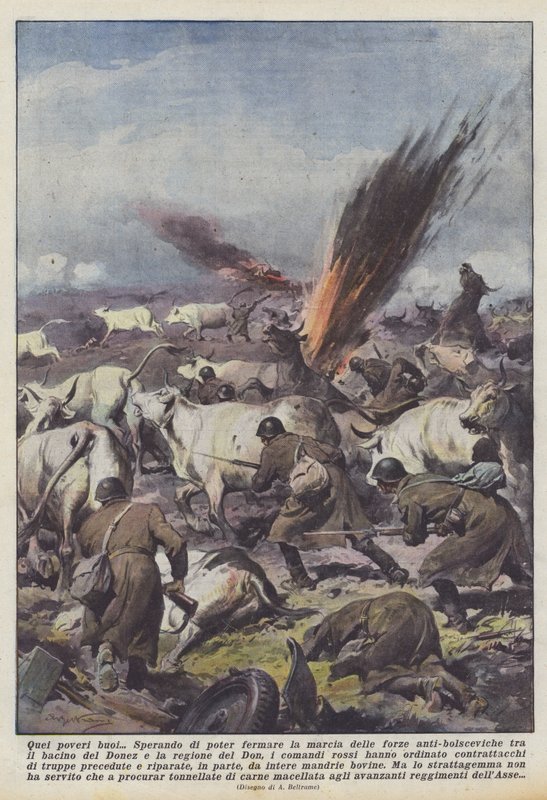 Aqueles pobres bois de Achille Beltrame