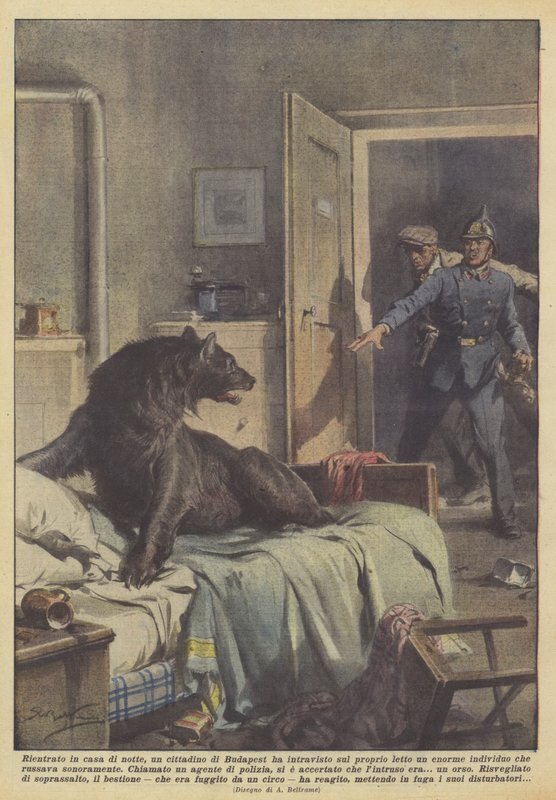 De volta à casa à noite, um cidadão de Budapeste viu uma cama enorme em sua cama de Achille Beltrame