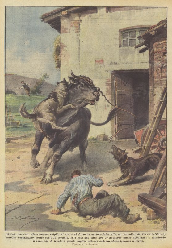 Salvo por cães de Achille Beltrame