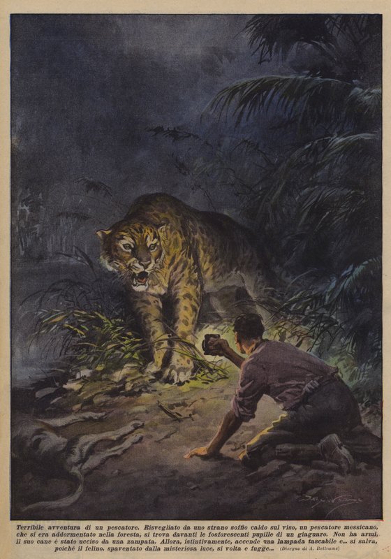 Aventura terrível de um pescador de Achille Beltrame