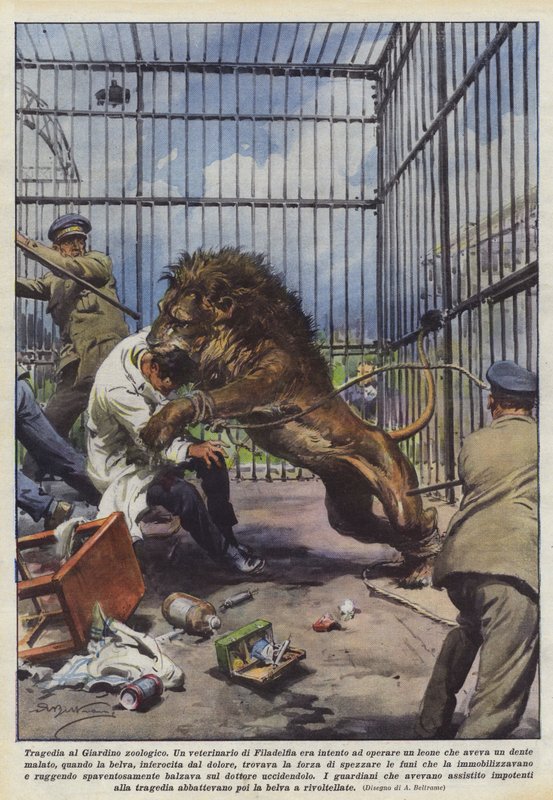 Tragédia no zoológico de Achille Beltrame
