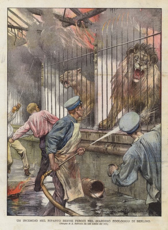 Um incêndio na ala dos animais selvagens do jardim zoológico de Berlim (cor litho) de Achille Beltrame
