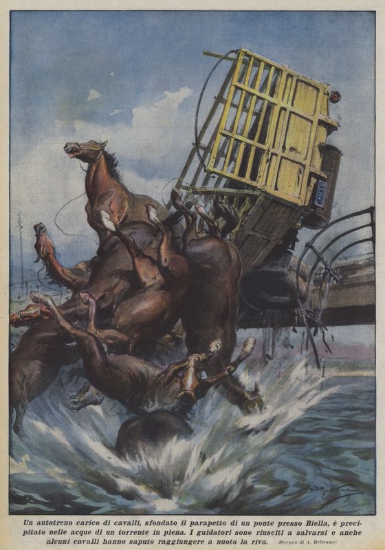 Um caminhão carregado de cavalos atravessou o corrimão de uma ponte em Biella e caiu de Achille Beltrame