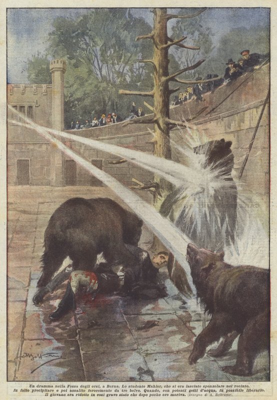 Um drama no Bear Pit, em Berna de Achille Beltrame