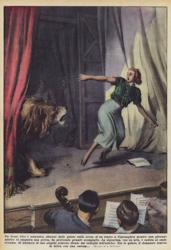 Um leão vivo e autêntico, surgiu das cenas na cena de um teatro em Copenhague enquanto um de Achille Beltrame
