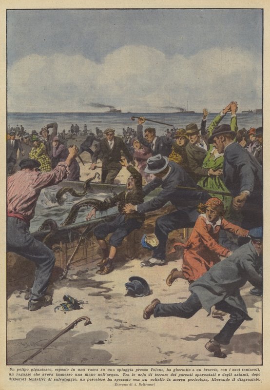 Um polvo gigante, exposto em uma banheira em uma praia perto de Toulon, apreendeu de Achille Beltrame