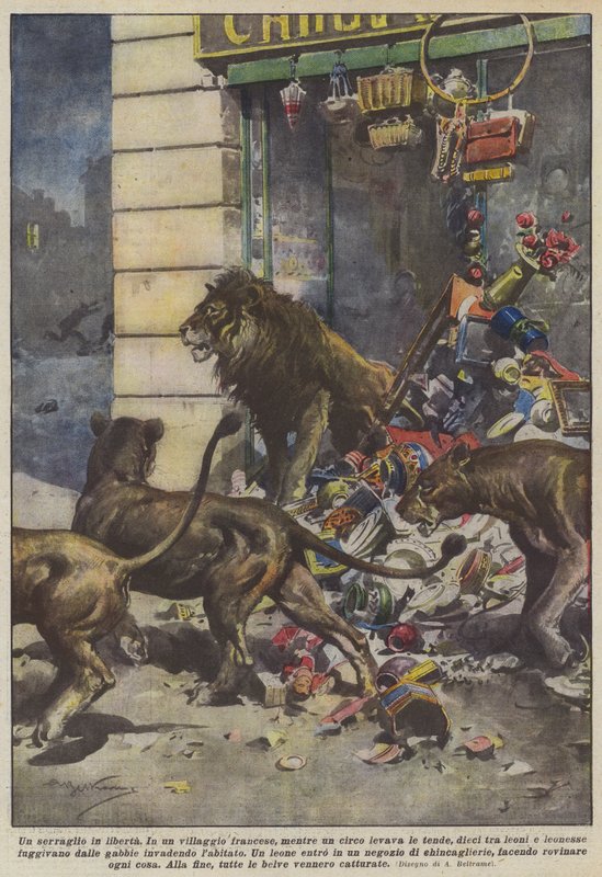 Um zoológico gratuito de Achille Beltrame