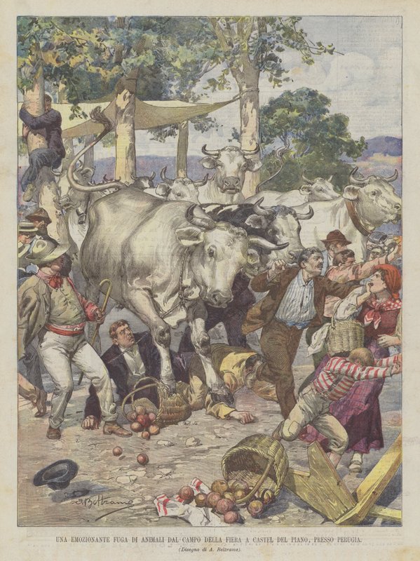 Um excitante animal Escape From the Fairground Em Castel Del Piano, perto de Perugia de Achille Beltrame