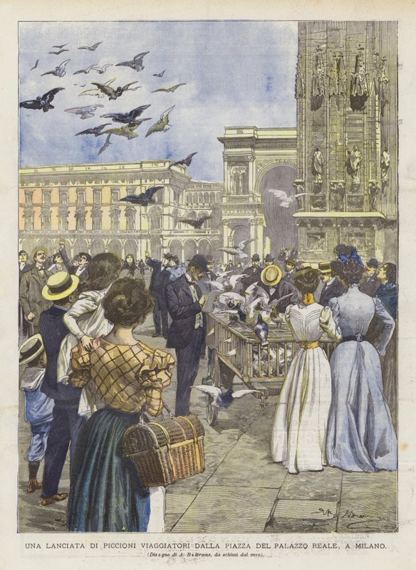 Um lançamento de pombos de viajante da Piazza Del Palazzo Reale, em Milão de Achille Beltrame