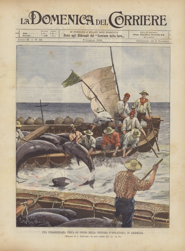 Uma pesca extraordinária de atum na Tonnara DIsolapiana, na Sardenha de Achille Beltrame