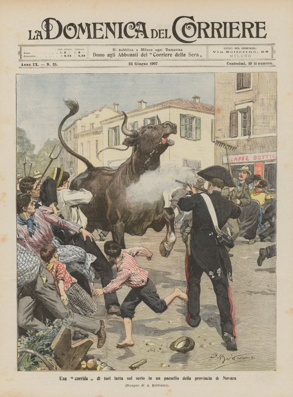 Uma tourada de touros feita a sério em uma aldeia na província de Novara de Achille Beltrame