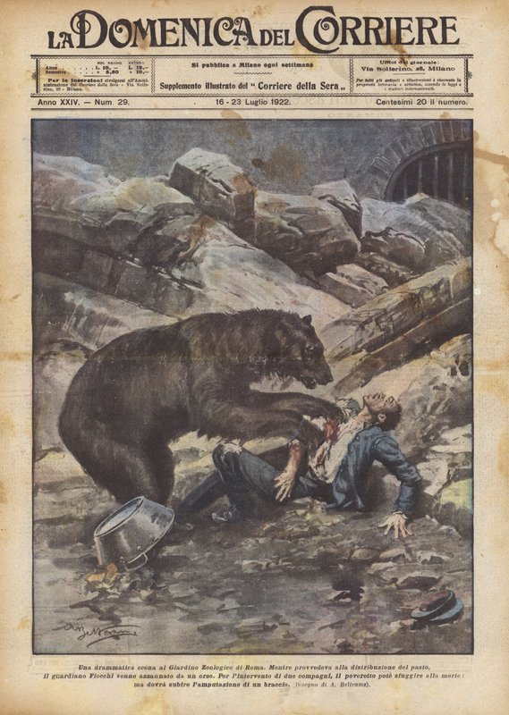Uma cena dramática no Jardim Zoológico de Roma de Achille Beltrame