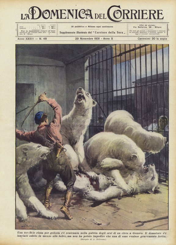 Uma terrível briga pelo ciúme se desencadeada na gaiola dos ursos de um circo em Gênova de Achille Beltrame