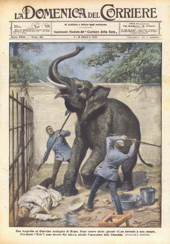 Uma tragédia no zoológico de Roma de Achille Beltrame