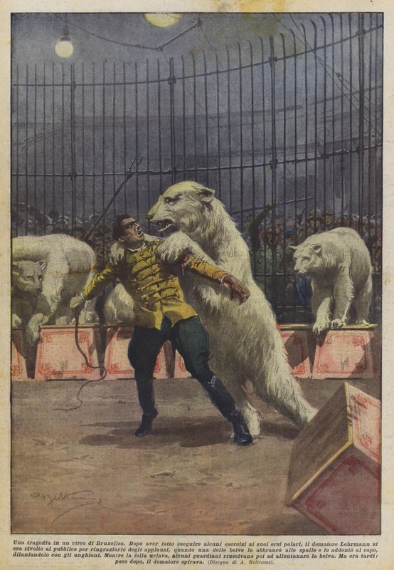 Uma tragédia num circo em Bruxelas de Achille Beltrame