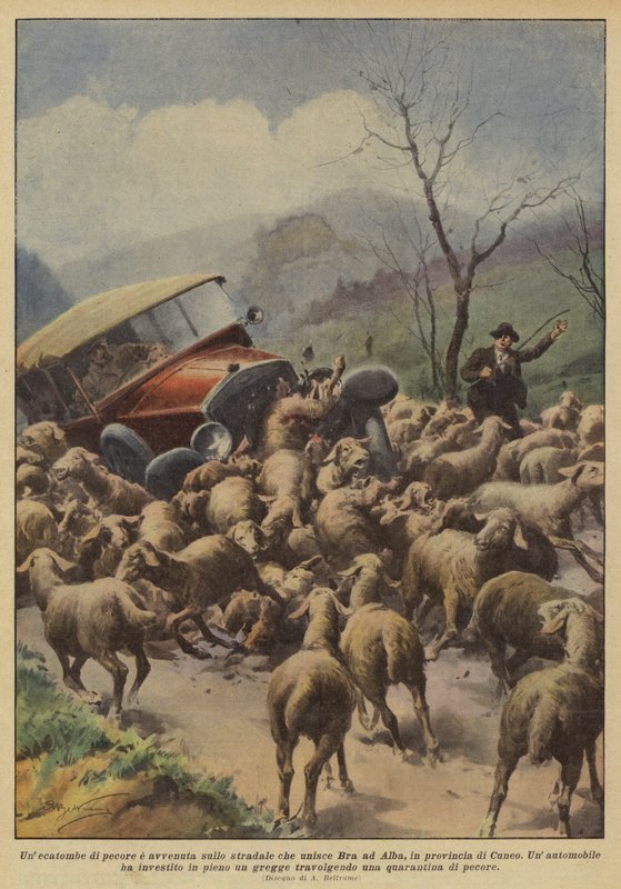 Unecatombe de ovelhas e ocorreu na estrada que une Bra para Alba, na província de Cuneo de Achille Beltrame