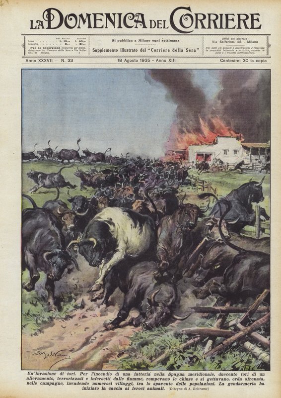 Uma invasão de touros de Achille Beltrame