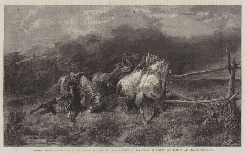 Cavalos escapando de um fogo de Adolf Schreyer