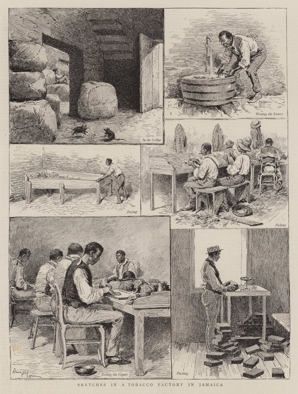 Esboços em uma fábrica de tabaco na Jamaica de Adrien Emmanuel Marie