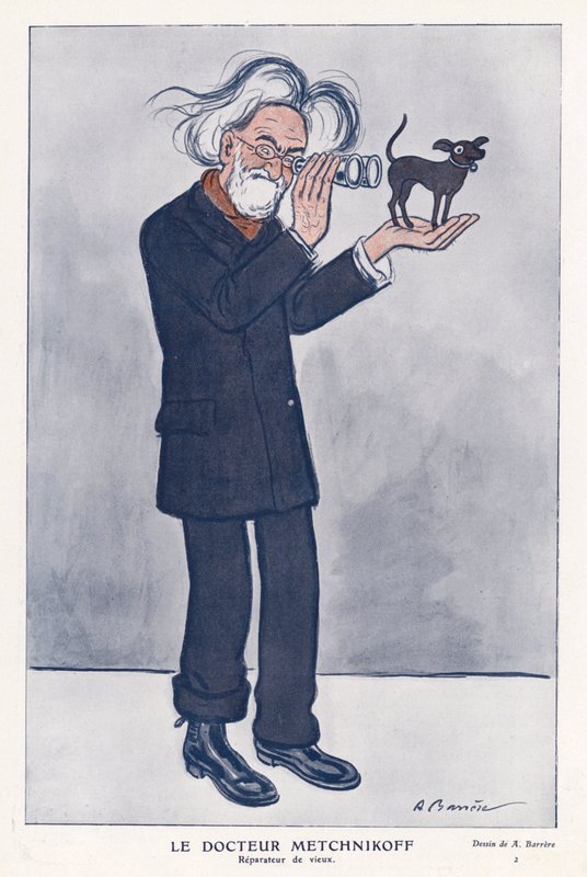 Elie Metchnikoff, zoólogo russo (cor litho) de Adrien Barrere