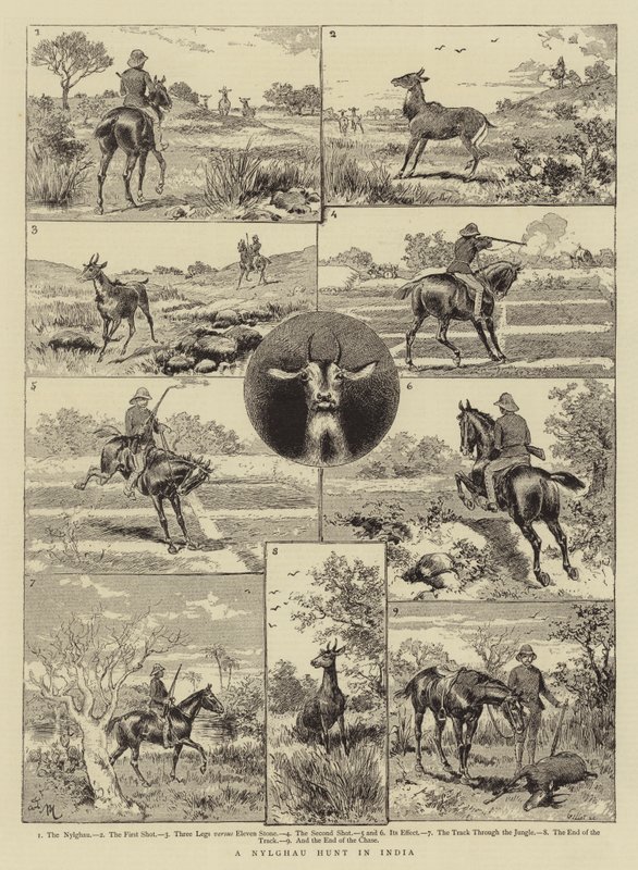 A Nylghau Hunt na Índia de Adrien Emmanuel Marie