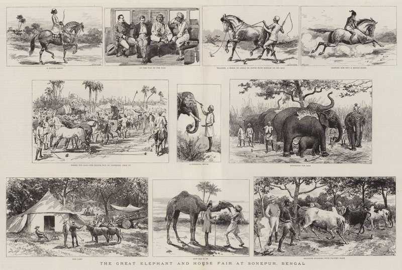 O Grande Elefante e Feira do Cavalo em Sonepur, Bengala de Adrien Emmanuel Marie