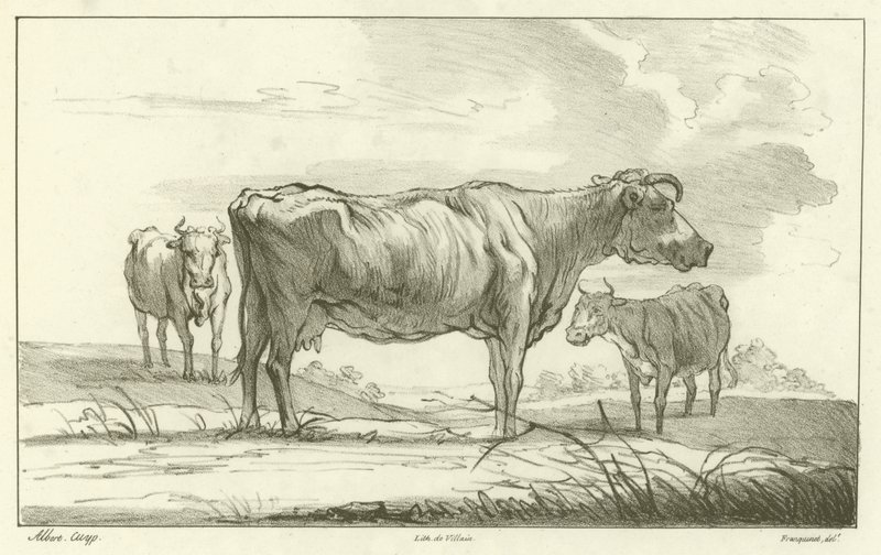 Três vacas de Aelbert Cuyp