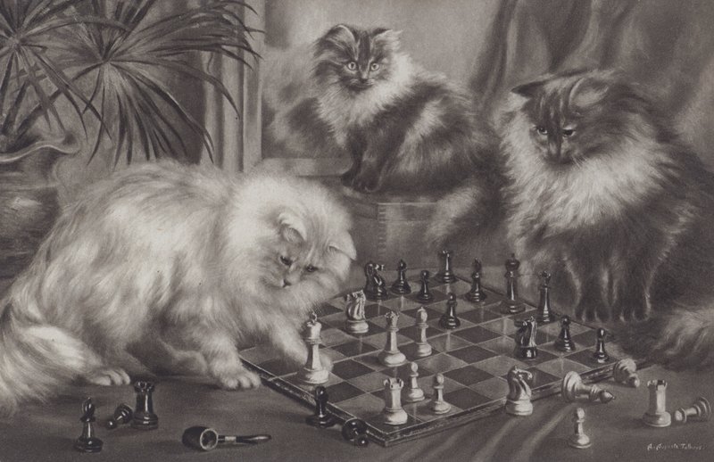Grupo de gatos brincando com peças de xadrez de Agnes Augusta Talboys